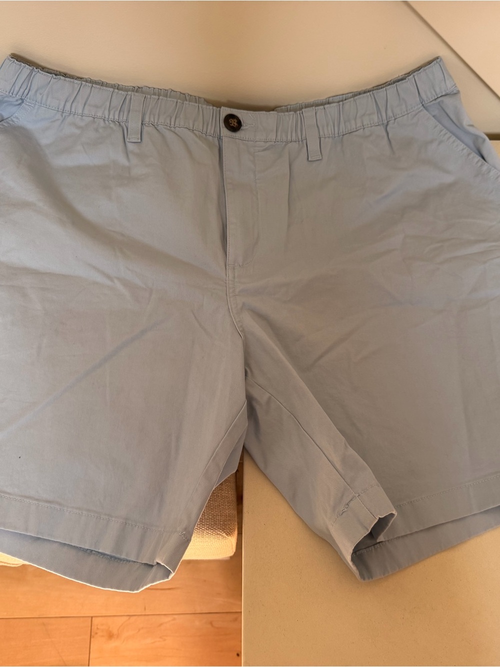 Chubbies the Altitudes Light Blue Men’s Casual Elastic-Waist Shorts